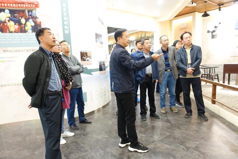 球王会体育平台网页